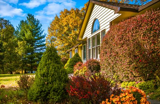 Fall lawn